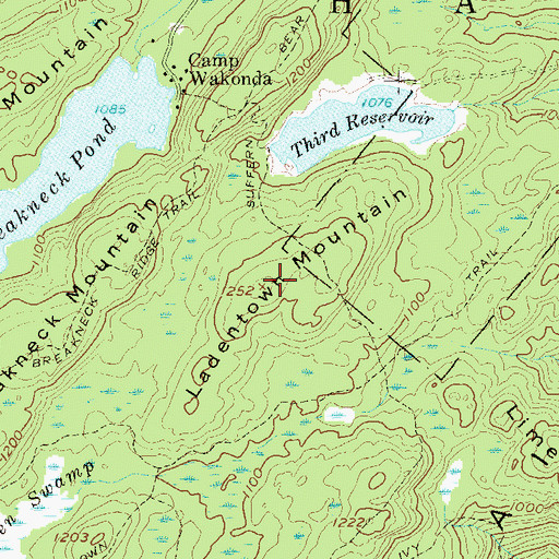 Topographic Map of Ladentown Mountain, NY