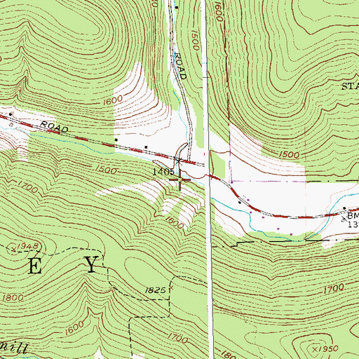 Topographic Map of Little Bone Run, NY