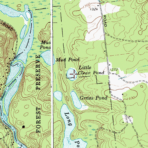 Topographic Map of Little Clear Pond, NY