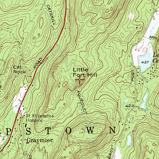 Topographic Map of Little Fort Hill, NY