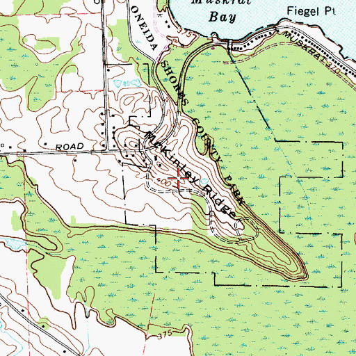 Topographic Map of McKinley Ridge, NY