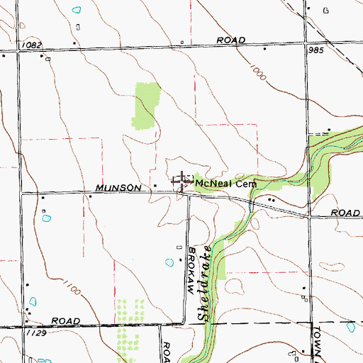 Topographic Map of McNeal Cemetery, NY