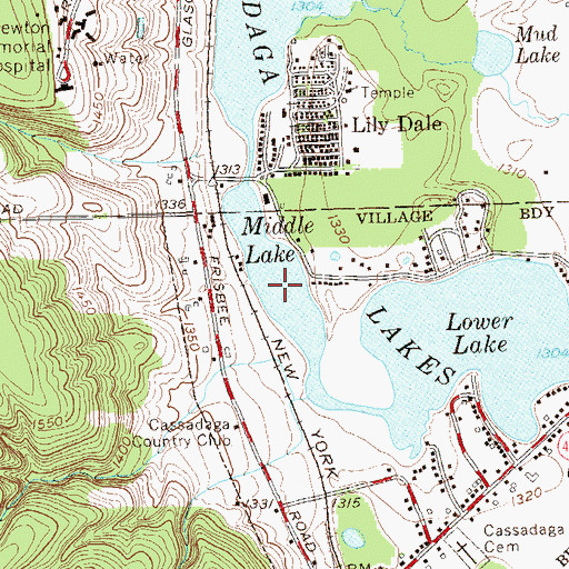 Topographic Map of Middle Lake, NY