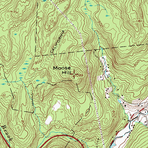 Topographic Map of Moose Hill, NY