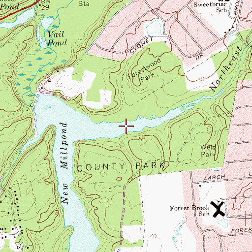 Topographic Map of New Millpond, NY