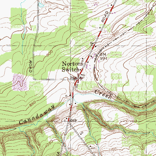 Topographic Map of Nortons Switch, NY