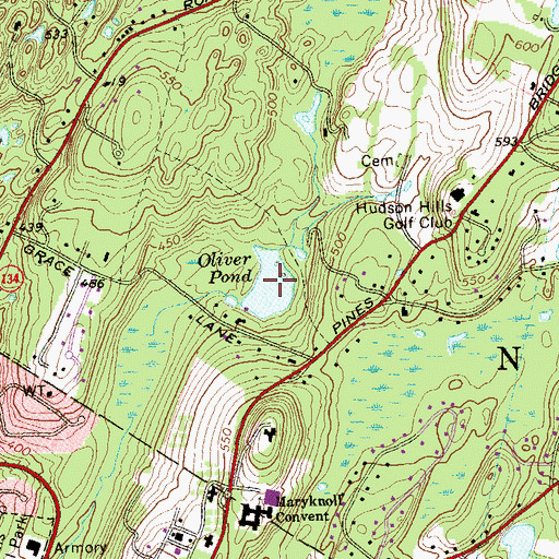 Topographic Map of Oliver Pond, NY