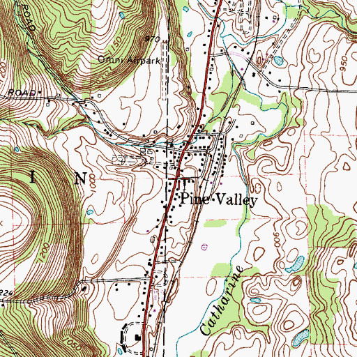 Topographic Map of Pine Valley, NY