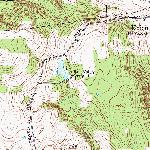 Topographic Map of Pine Valley Campsite, NY