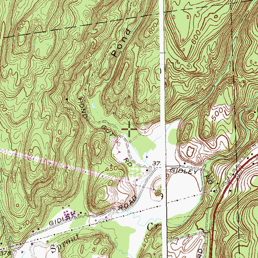 Topographic Map of Pond Gut, NY