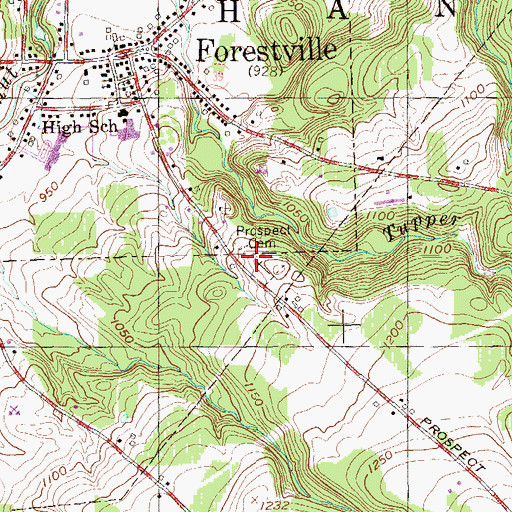 Topographic Map of Forestville Cemetery, NY