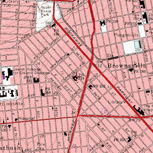 Topographic Map of Public School 219, NY