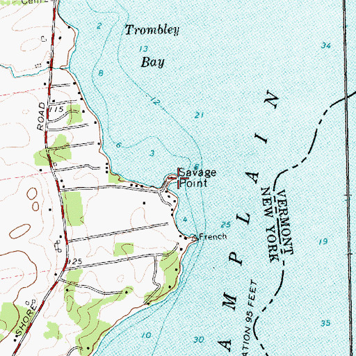 Topographic Map of Savage Point, NY