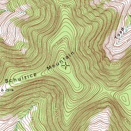 Topographic Map of Schultice Mountain, NY
