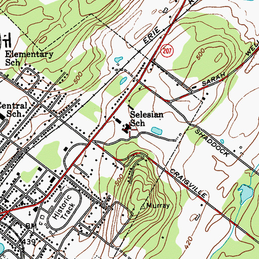 Topographic Map of Salesian School For Boys, NY