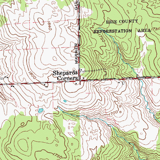 Topographic Map of Shepards Corners, NY