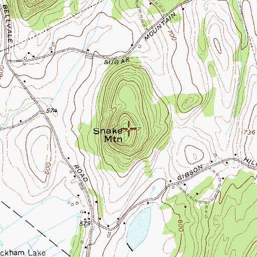 Topographic Map of Snake Mountain, NY