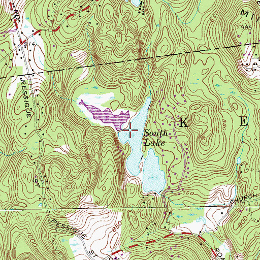 Topographic Map of South Lake, NY