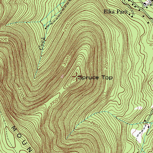 Topographic Map of Spruce Top, NY
