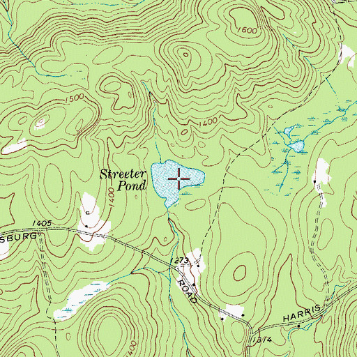 Topographic Map of Streeter Pond, NY