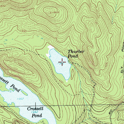 Topographic Map of Thurber Pond, NY