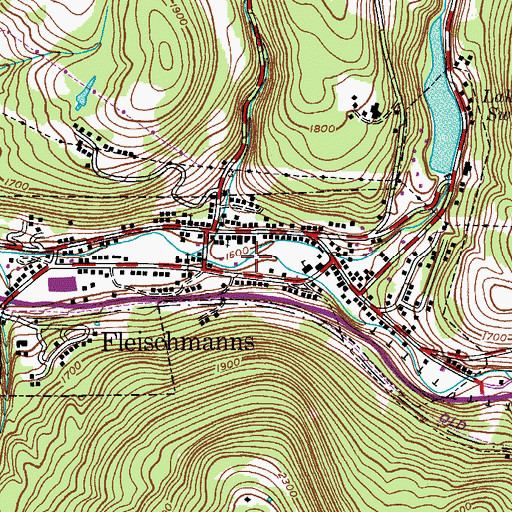 Topographic Map of Townsend Hollow, NY
