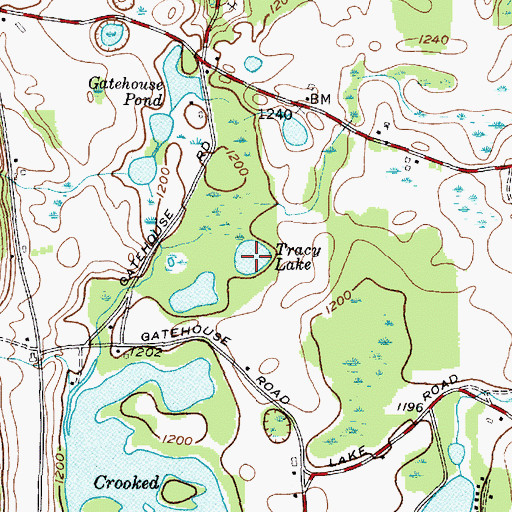 Topographic Map of Tracy Lake, NY