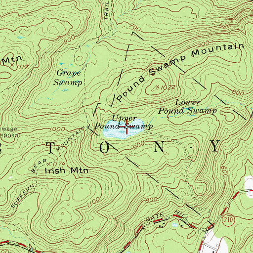 Topographic Map of Upper Pound Swamp, NY