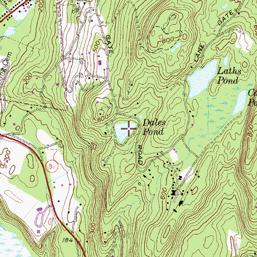 Topographic Map of Dales Pond, NY