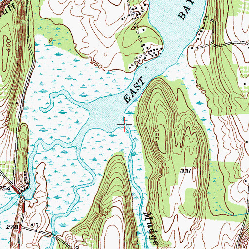 Topographic Map of Mudge Creek, NY