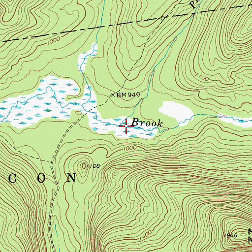 Topographic Map of Pharoah Lake Brook, NY