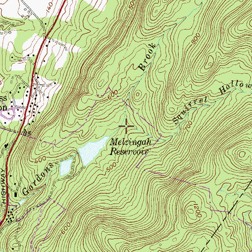 Topographic Map of Squirrel Hollow Brook, NY