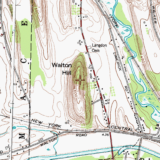 Topographic Map of Walton Hill, NY