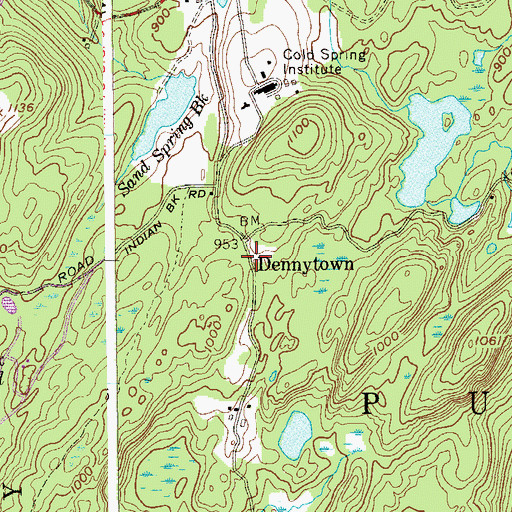 Topographic Map of Dennytown, NY