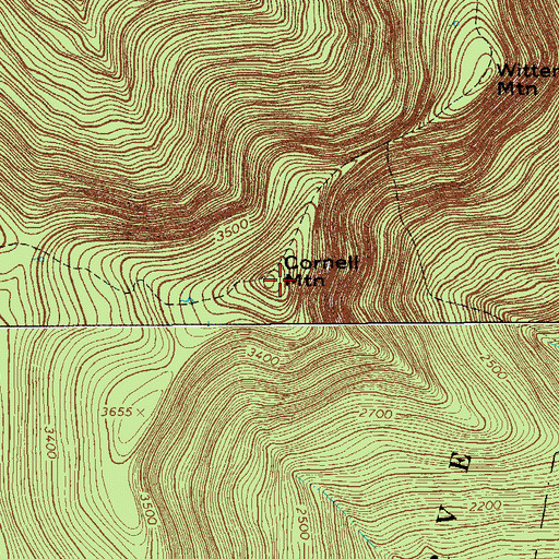 Topographic Map of Cornell Mountain, NY