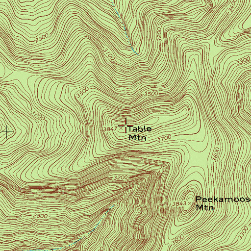 Topographic Map of Table Mountain, NY