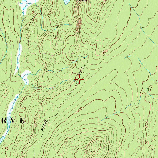 Topographic Map of Ash Pond Trail, NY