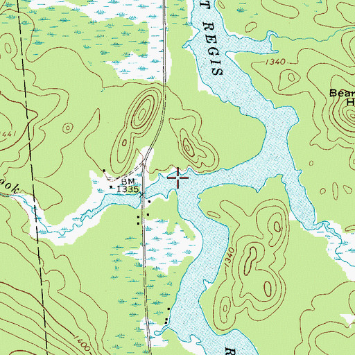 Topographic Map of Goose Pond Brook, NY