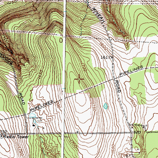 Topographic Map of WWER-FM (Dryden), NY