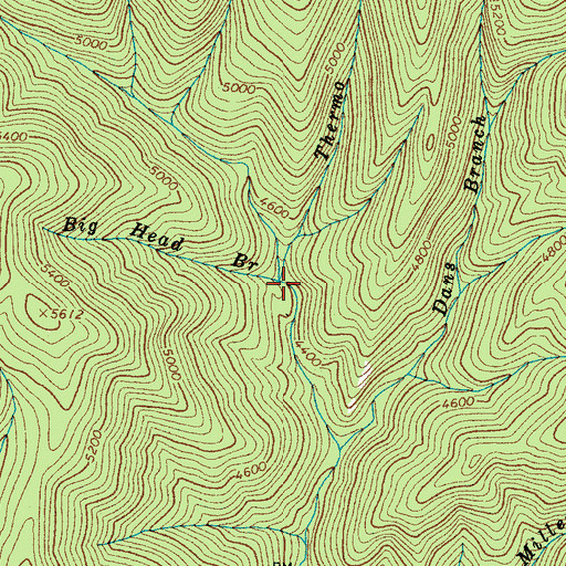 Topographic Map of Big Head Branch, NC