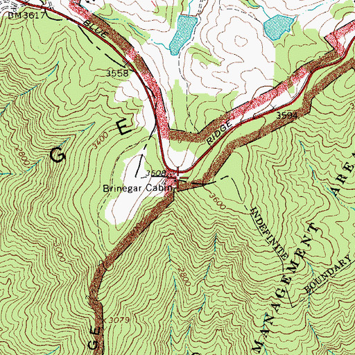Topographic Map of Brinegar Cabin, NC