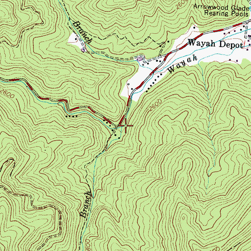 Topographic Map of Brushy Branch, NC