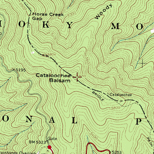 Topographic Map of Cataloochee Balsam, NC
