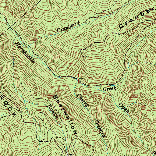 Topographic Map of Cherry Orchard Branch, NC