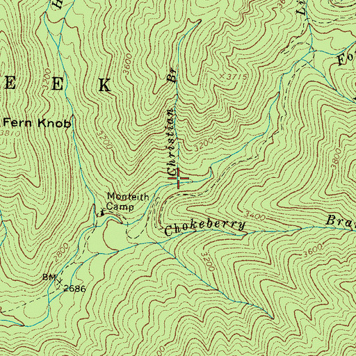 Topographic Map of Christian Branch, NC