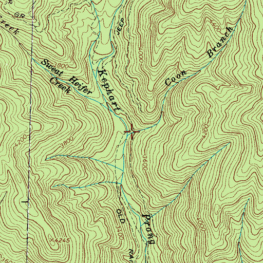 Topographic Map of Coon Branch, NC