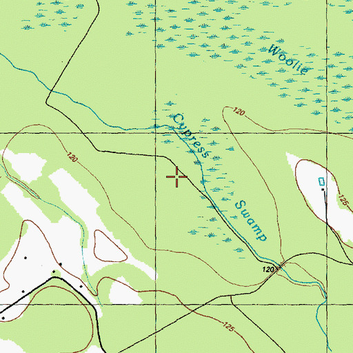 Topographic Map of Cypress Swamp, NC