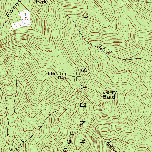 Topographic Map of Flat Top Gap, NC