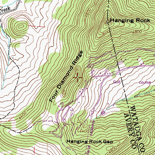 Topographic Map of Four Diamond Ridge, NC