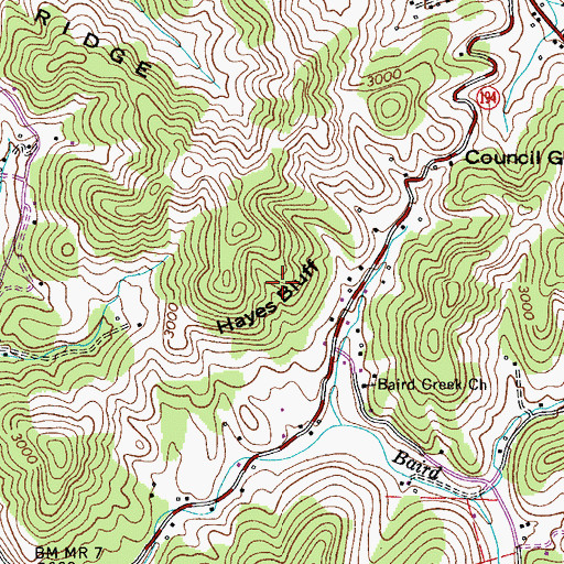 Topographic Map of Hayes Bluff, NC